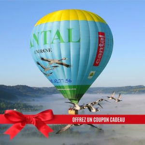 Bon cadeau montgolfère avec oiseaux