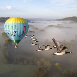 Vol en montgolfère avec les oiseaux