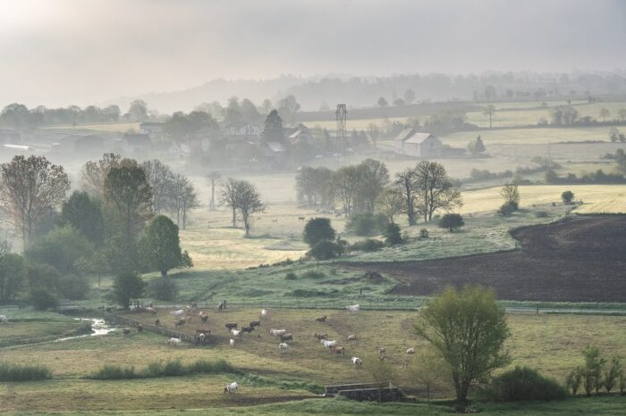 Survol en ballon de la campagne Cantalienne de petit matin