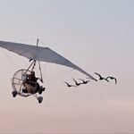 Montgolfière ULM Oiseaux