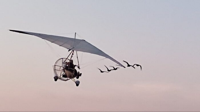 Montgolfière ULM Oiseaux