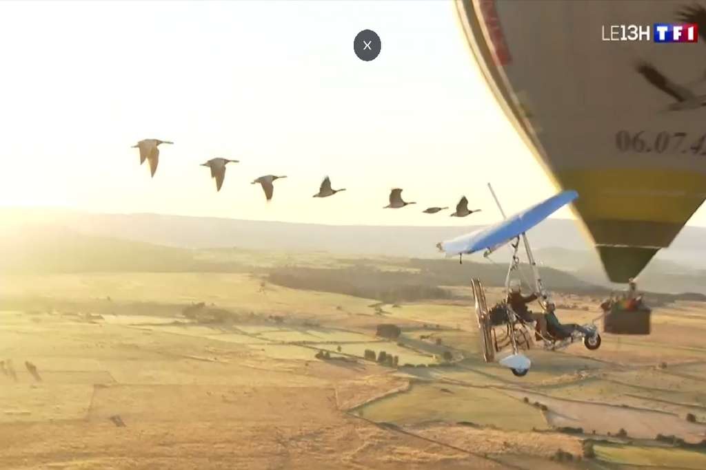 Montgolfière ULM avec les Oiseaux TF1