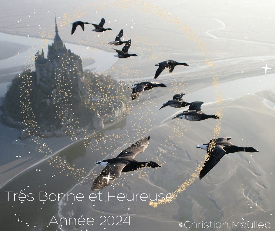 Christian Moullec Bonne Année 2024