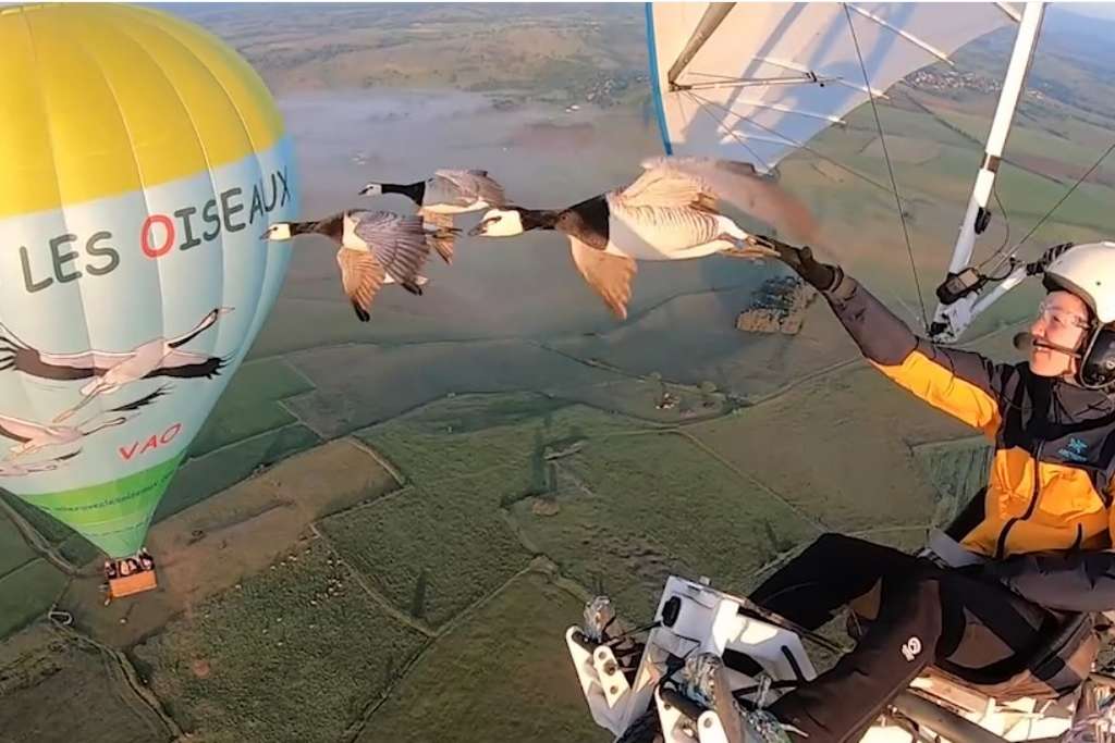 Vol ULM Oiseaux Montgolfière Cantal
